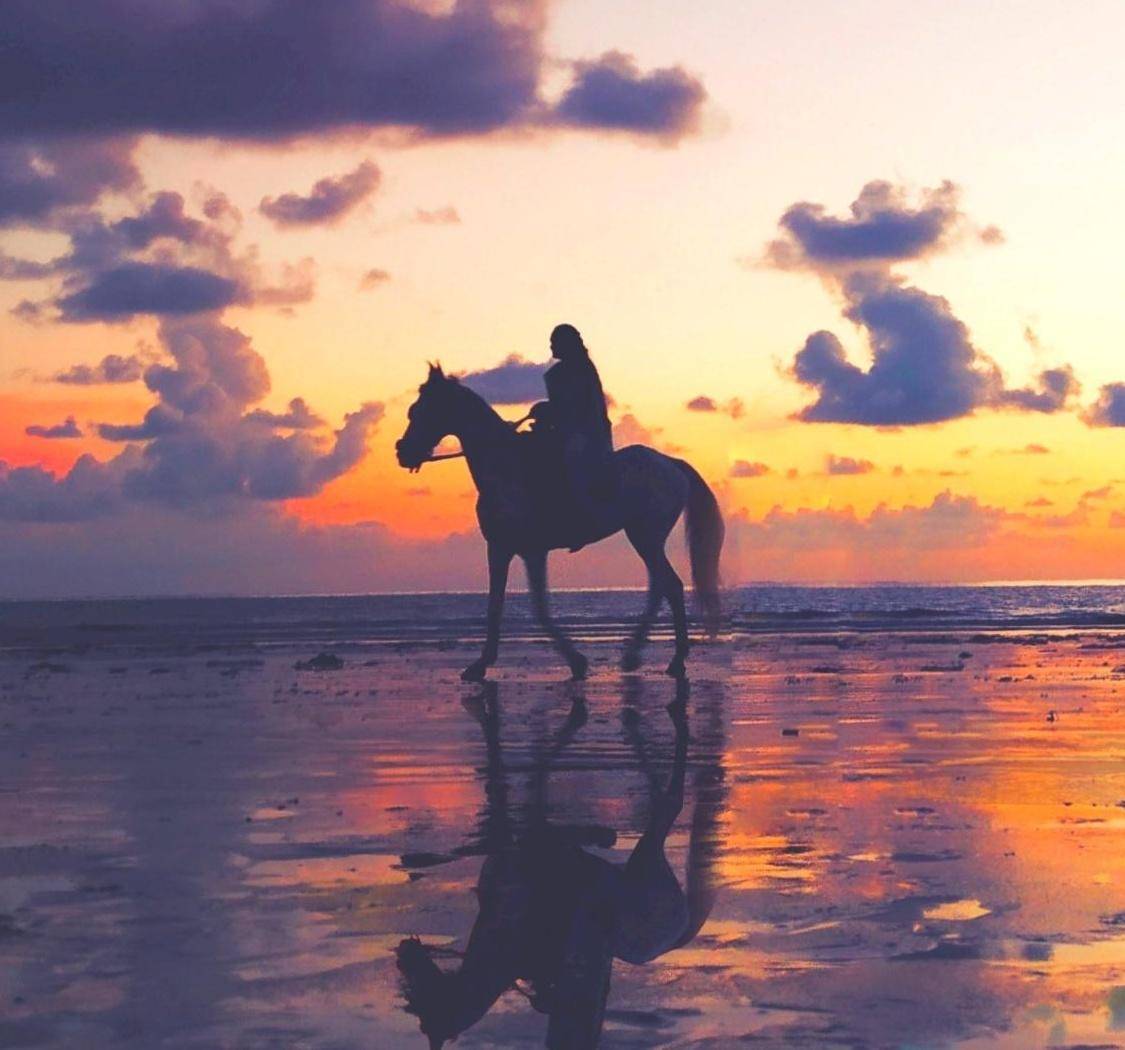 要胆大，要心细，更要保持心情快乐，骑着马去会会命运。