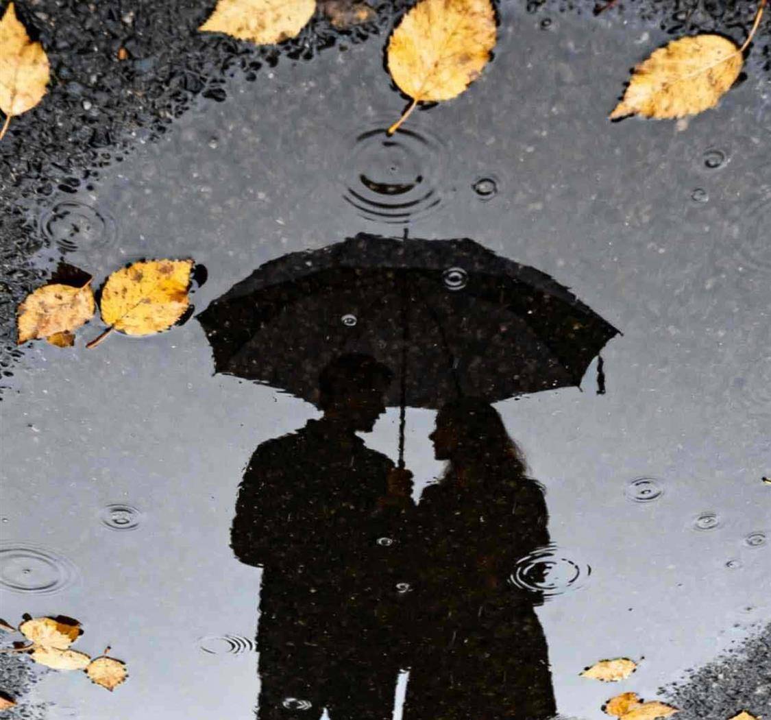 对的人，能够给你遮风挡雨，错的人，本身就是你的风雨。