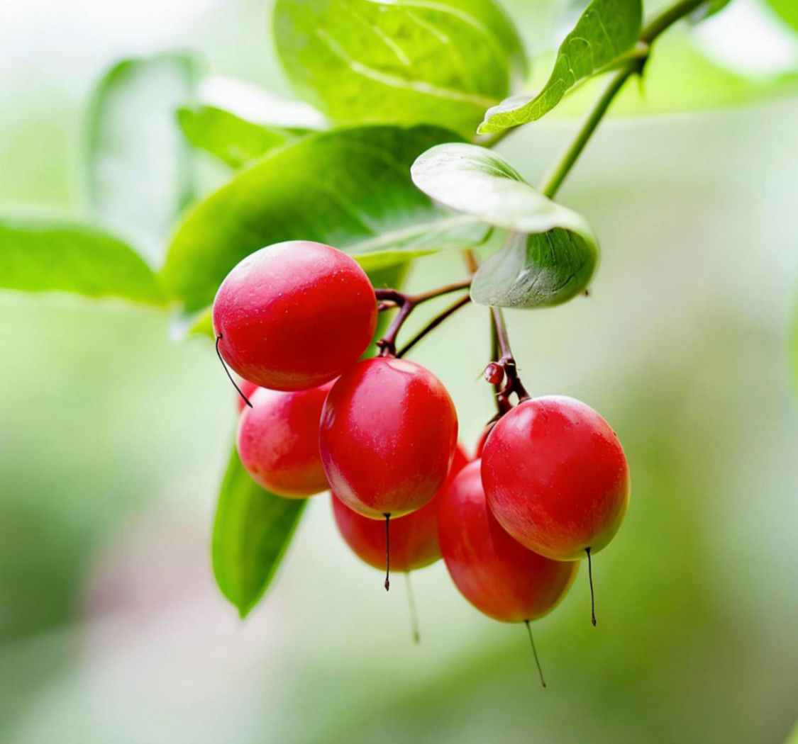 若你决定灿烂，山无遮，海无拦。