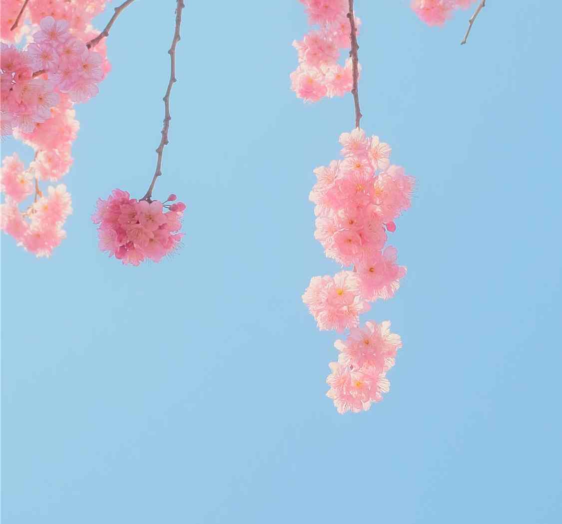 你有无数个春和景明，不必纠结眼前一瞬。