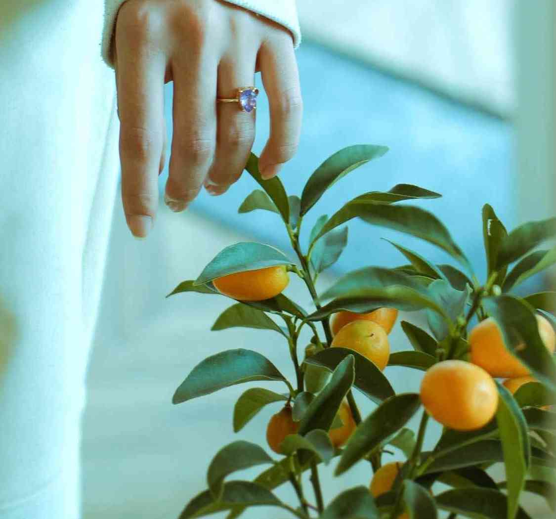 情绪不对就少说话，长篇大论者皆是输家。