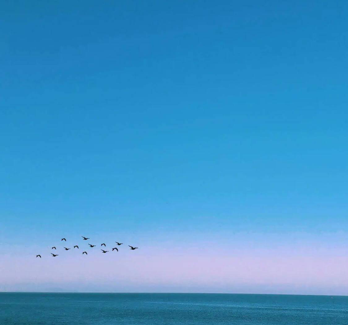静水流深，真正有力量的人往往深藏不露。