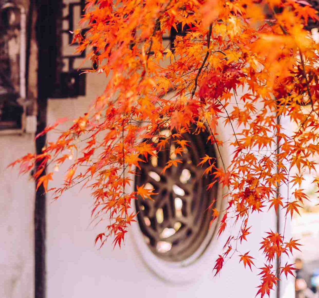 腊月到，愿我们都能成为自己最温暖的靠山。