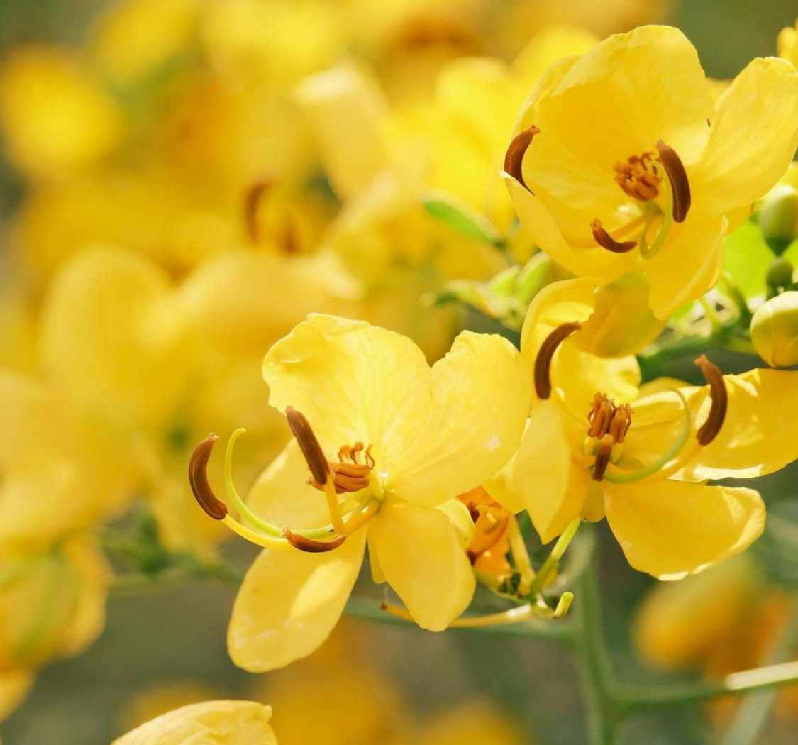 春风有信，花开有期，所有美好都在路上。3月你好！