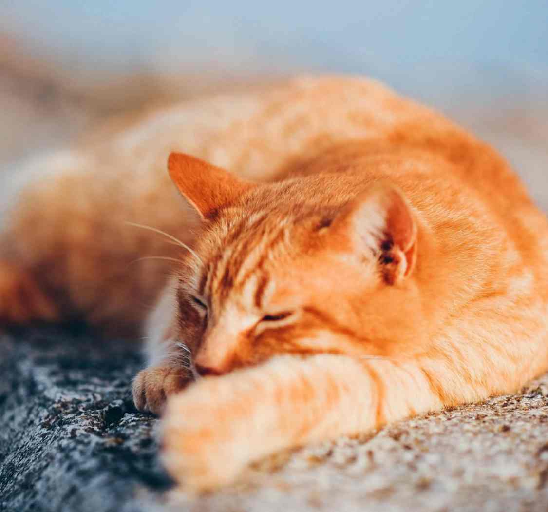 睡前原谅一切,醒来便是重生。