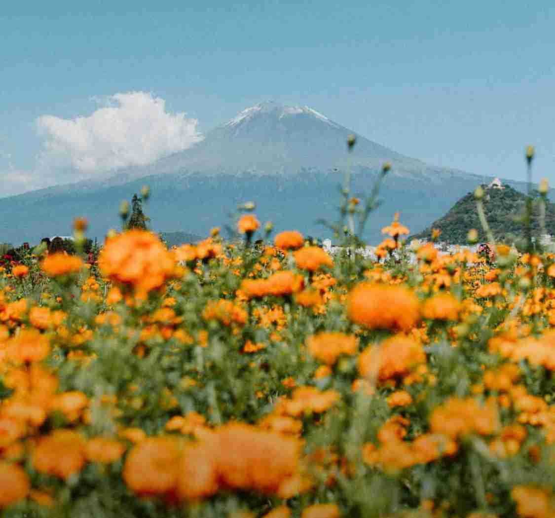 相信所有的汗水与眼泪,最后会化成一篇山花烂漫。
